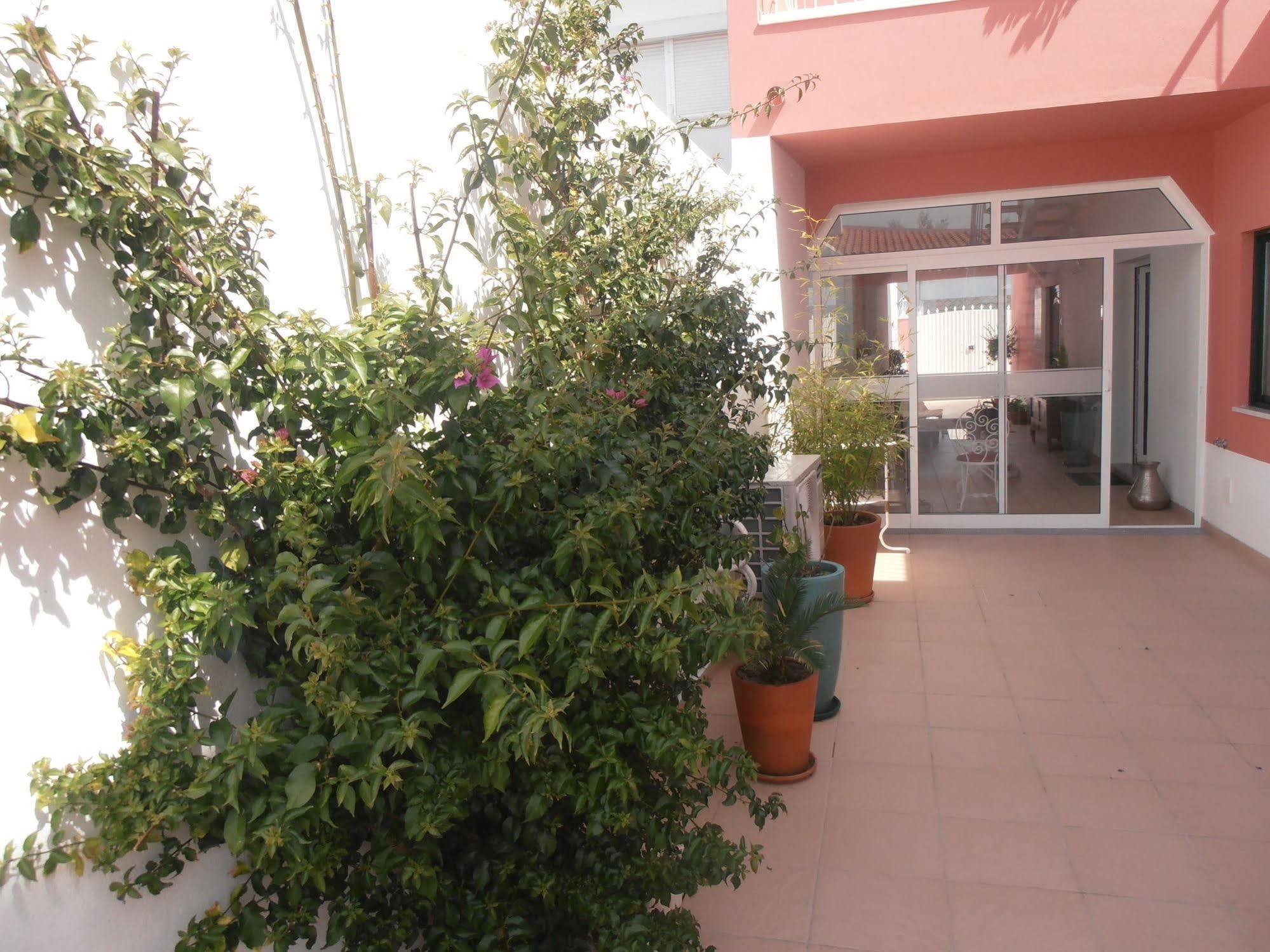 Casa Morgados - Grandola Guesthouse المظهر الخارجي الصورة
